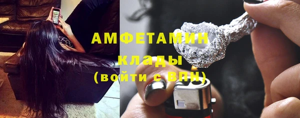 прущие грибы Великий Новгород