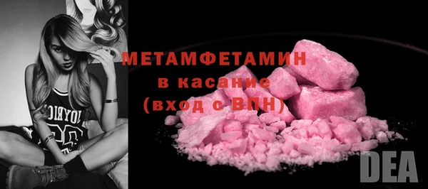 прущие грибы Великий Новгород