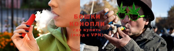 прущие грибы Великий Новгород