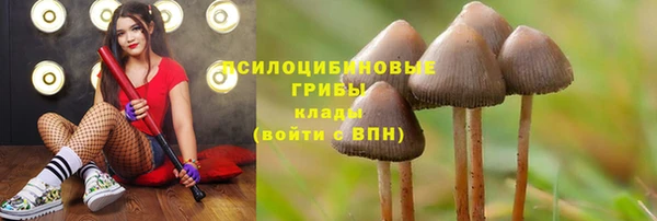 альфа пвп Одинцово