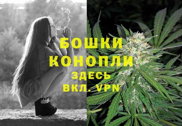 прущие грибы Великий Новгород
