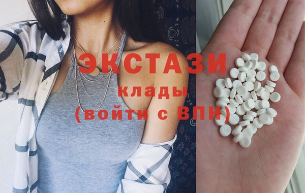прущие грибы Великий Новгород