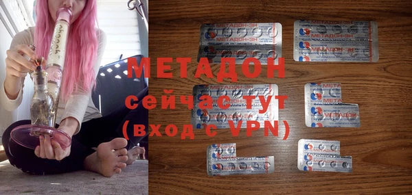 прущие грибы Великий Новгород