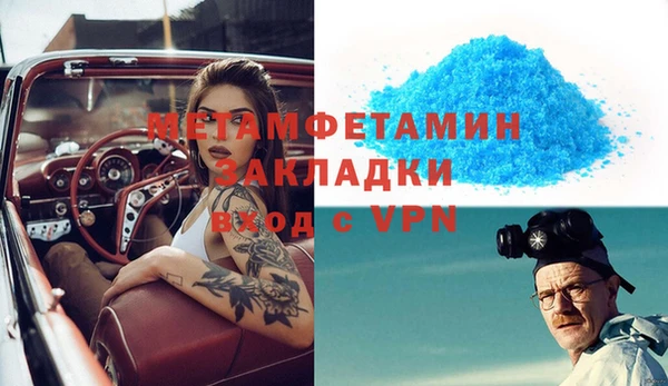 прущие грибы Великий Новгород