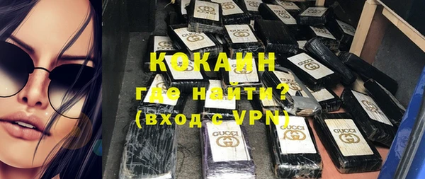 прущие грибы Великий Новгород