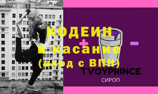 прущие грибы Великий Новгород