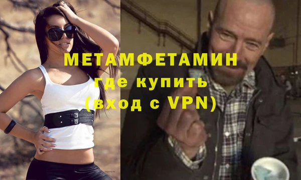 прущие грибы Великий Новгород