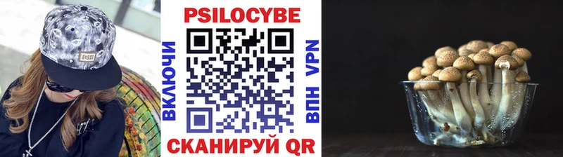 Псилоцибиновые грибы MAGIC MUSHROOMS  Верхняя Салда 