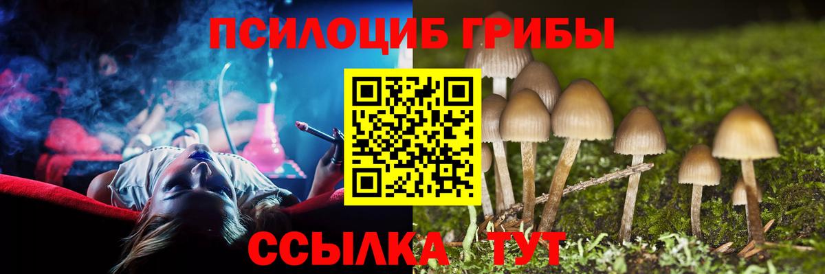Галлюциногенные грибы Magic Shrooms Верхняя Салда