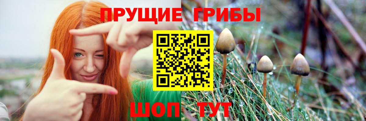 Галлюциногенные грибы Cubensis Верхняя Салда